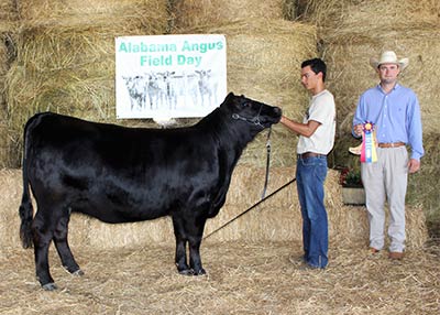 Grand Champion Bred-and-owned Female