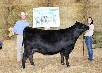 Grand Champion Owned Female