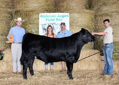 Grand Champion Steer