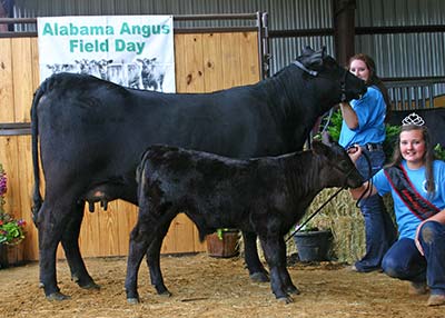 Grand Champion Cow-Calf Pair