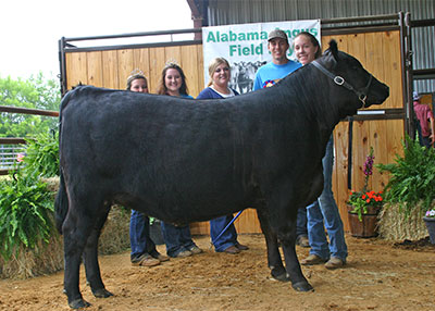 Grand Champion Owned Female