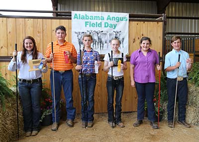 Intermediate Showmanship