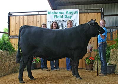 Reserve Grand Champion Bred-and-Owned Female