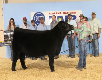 Reserve Grand Champion Female