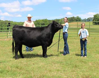 Grand Champion Bred-and-owned Female