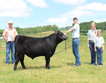 Reserve Grand Champion Bred-and-owned Bull