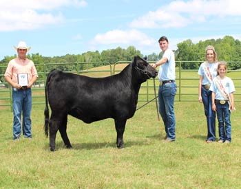 Reserve Grand Champion Bred-and-owned Female