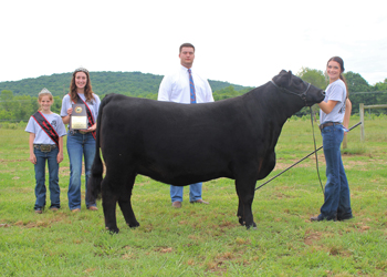 Grand Champion Bred-and-owned Female