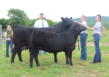 Grand Champion Cow-calf Pair