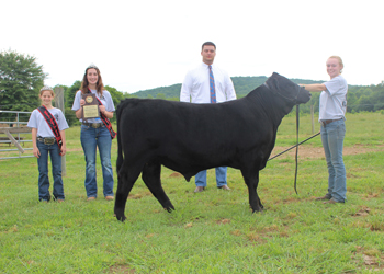 Grand Champion Steer