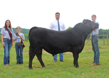 Reserve Grand Champion Bred-and-owned Bull