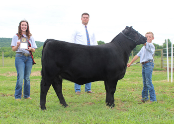 Reserve Grand Champion Owned Female