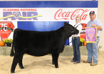 Grand Champion Bred-and-owned Female