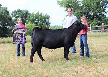 Grand Champion Bred-and-owned Female