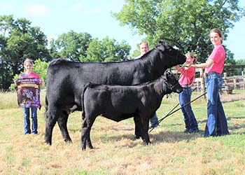 Grand Champion Cow-calf Pair