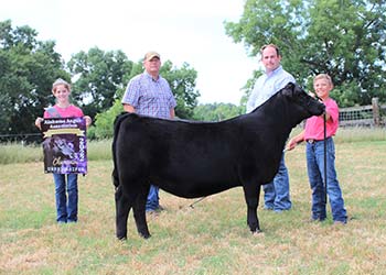 Grand Champion Owned Female