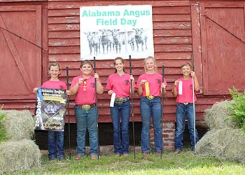 Junior Showmanship