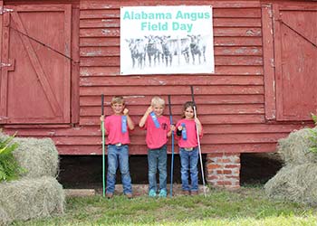 Pee Wee Showmanship