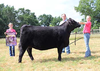 Reserve Grand Champion Bred-and-owned Female