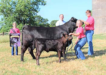 Reserve Grand Champion Cow-calf Pair