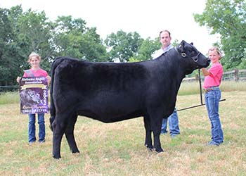 Reserve Grand Champion Owned Female